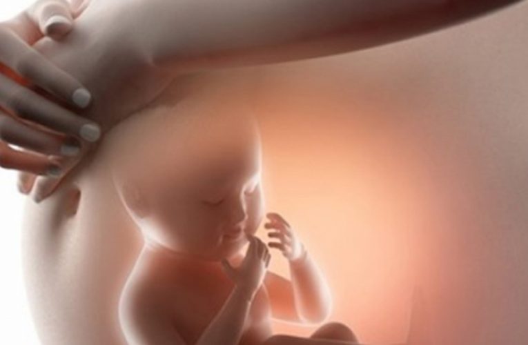 Sự phát triển của thai 23 tuần nặng bao nhiêu đạt chuẩn?